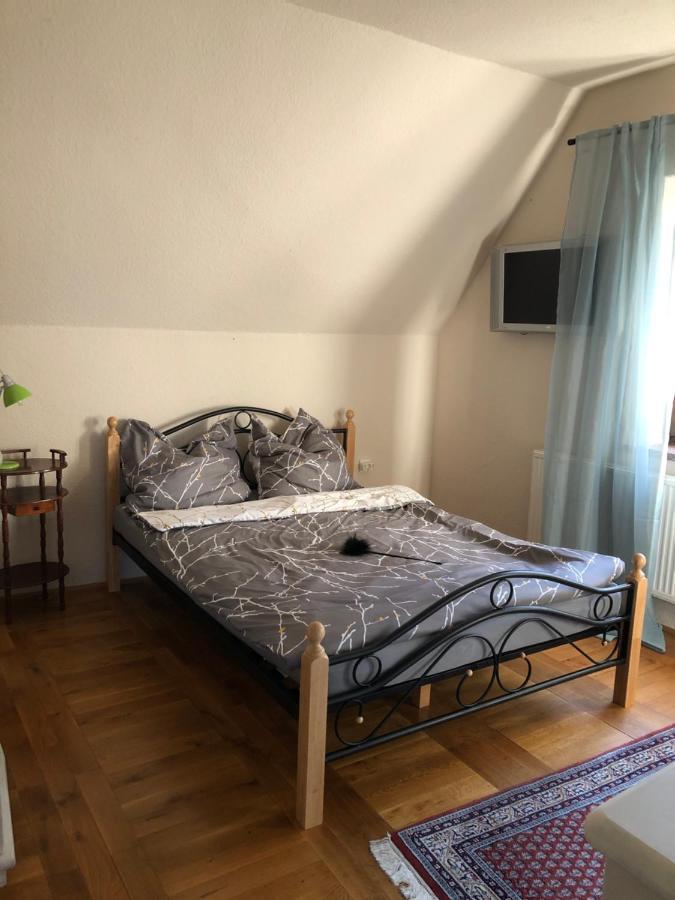 Ferienhaus Mit Pool Zum Traeumen Und Entspannen Fuer Alle Sinne Bad Schmiedeberg Exteriör bild